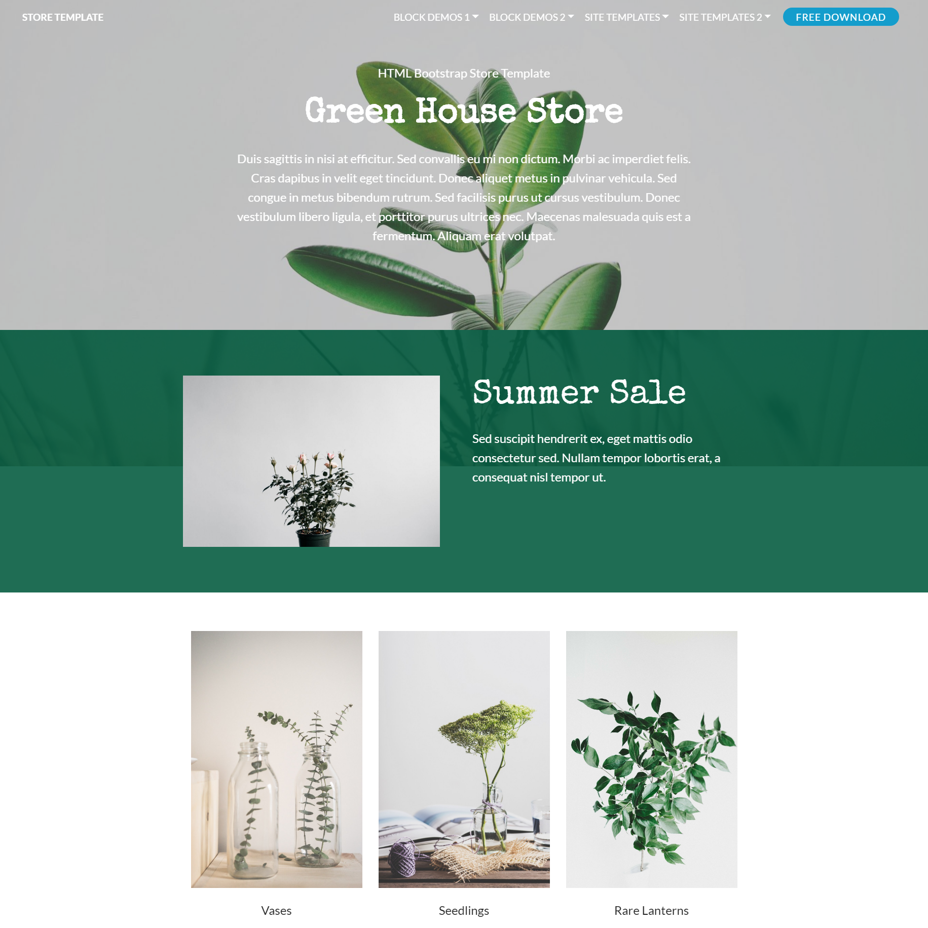 Responsive Bootstrap Store Templates